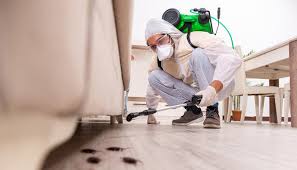 Best Commercial Pest Control  in Walnut Hill, TN